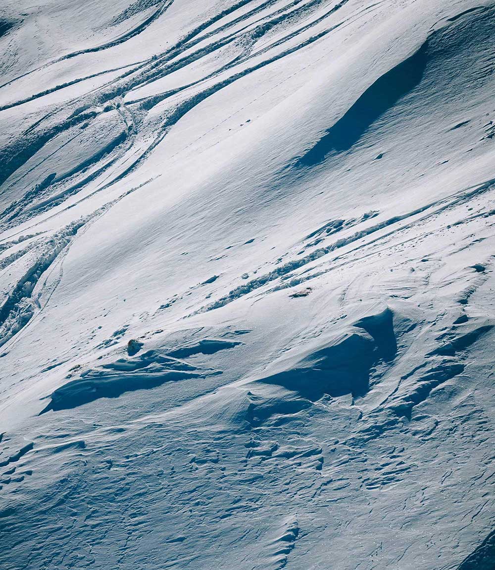 immagine-risultati-di-ricerca